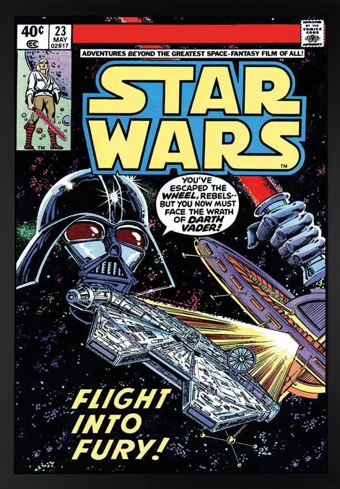 Star Wars #23 - Flight Into Fury - SOLD OUT by artist Stan Lee - Wyecliffe Galleries