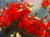 Roses Are Red - Original Stephen Simpson Original