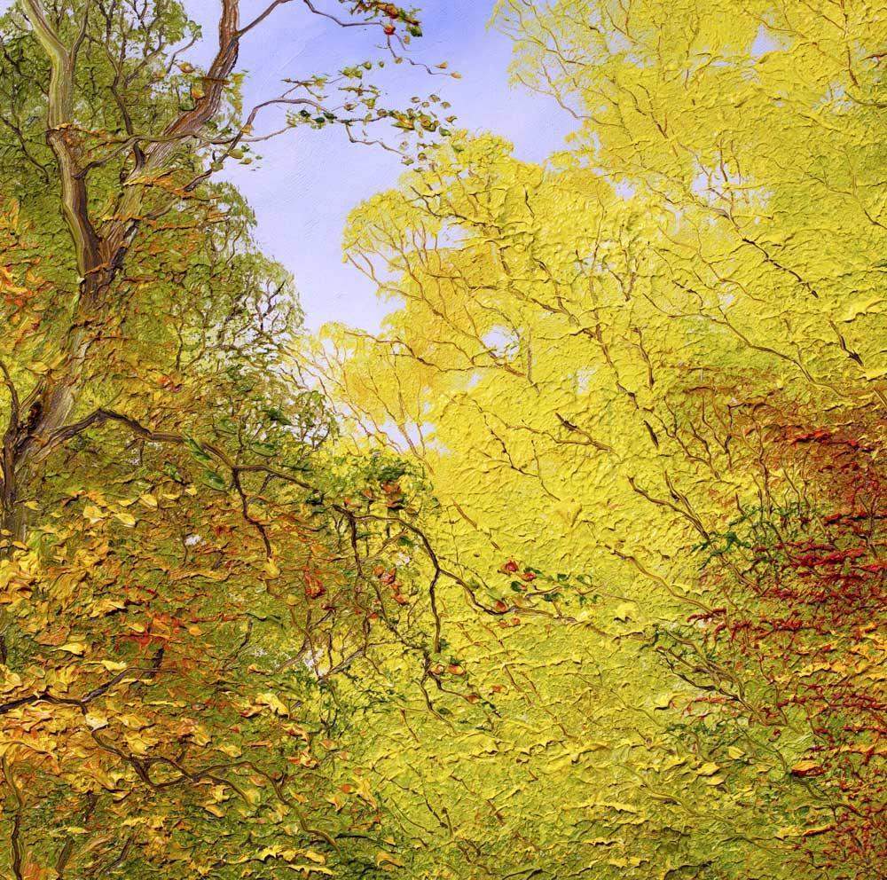 Autumn Reflections I - Original - SOLD by artist Terry Evans - Wyecliffe Galleries