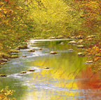 Autumn Reflections I - Original - SOLD by artist Terry Evans - Wyecliffe Galleries