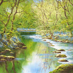 Forest Brook - Original - SOLD by artist Terry Evans - Wyecliffe Galleries