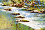 Forest Brook - Original - SOLD by artist Terry Evans - Wyecliffe Galleries