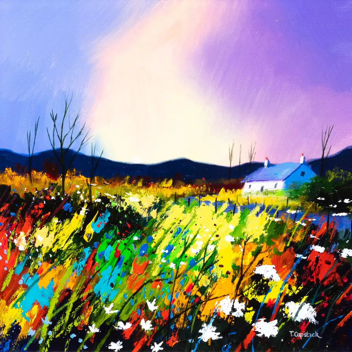 The Colours Of Sunset - Original - SOLD by artist Tom Capstick - Wyecliffe Galleries