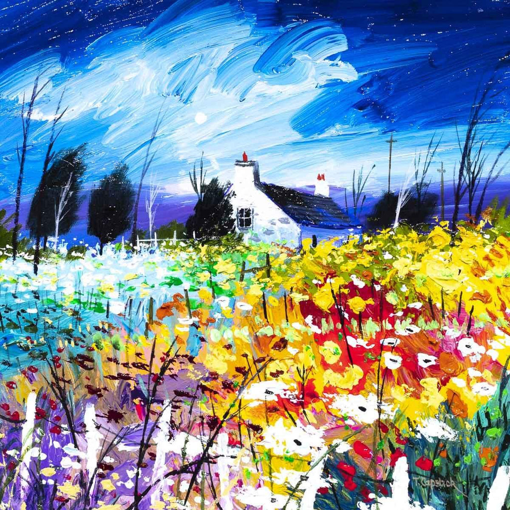 Rainbow Fields - Original - SOLD by artist Tom Capstick - Wyecliffe Galleries