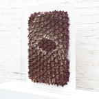 Summer Cyclone - Original - SOLD by artist Tristan Hibberd - Wyecliffe Galleries