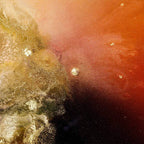 Afterdark - Original by artist Wendy Satchwell - Wyecliffe Galleries