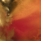 Bittersweet II - Original - SOLD by artist Wendy Satchwell - Wyecliffe Galleries