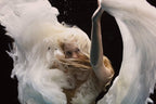 Angel 2 - Edition by artist Zena Holloway - Wyecliffe Galleries