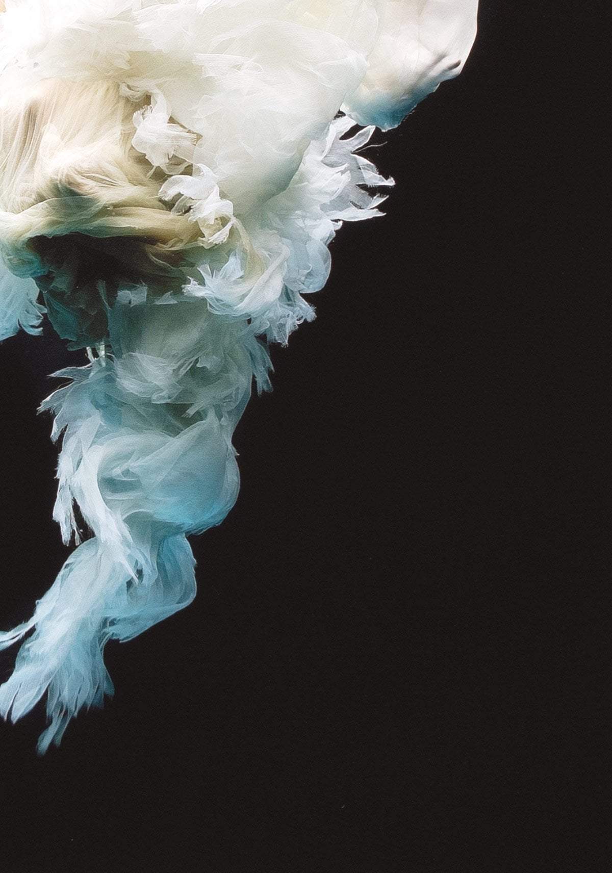 Angel 3 - Edition by artist Zena Holloway - Wyecliffe Galleries