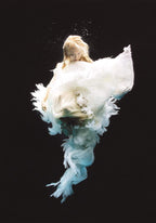 Angel 3 - Edition by artist Zena Holloway - Wyecliffe Galleries