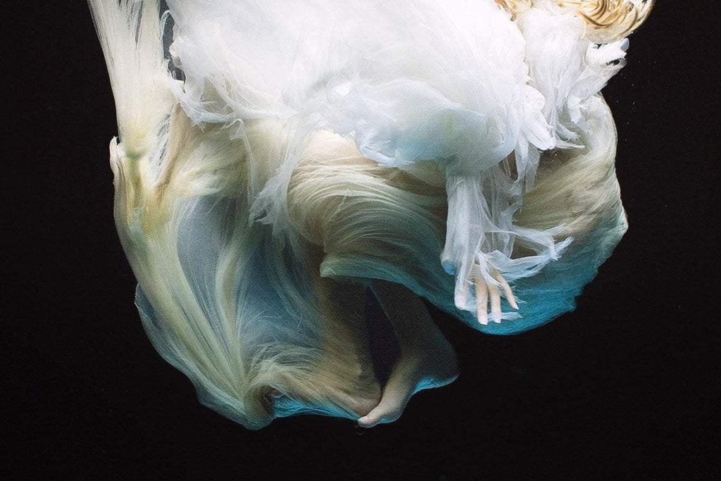 Angel 4 - Edition by artist Zena Holloway - Wyecliffe Galleries