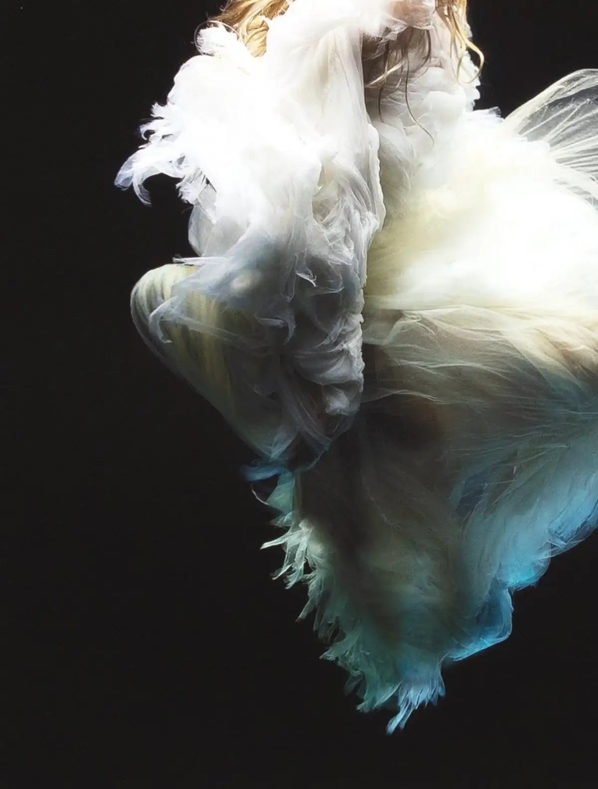 Angel 5 - Edition by artist Zena Holloway - Wyecliffe Galleries