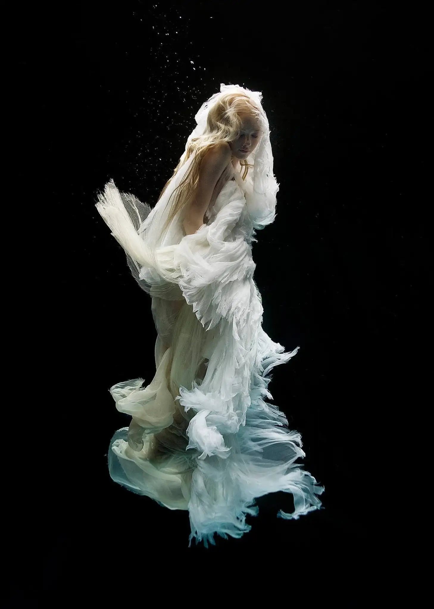 Angel 6 - Edition by artist Zena Holloway - Wyecliffe Galleries