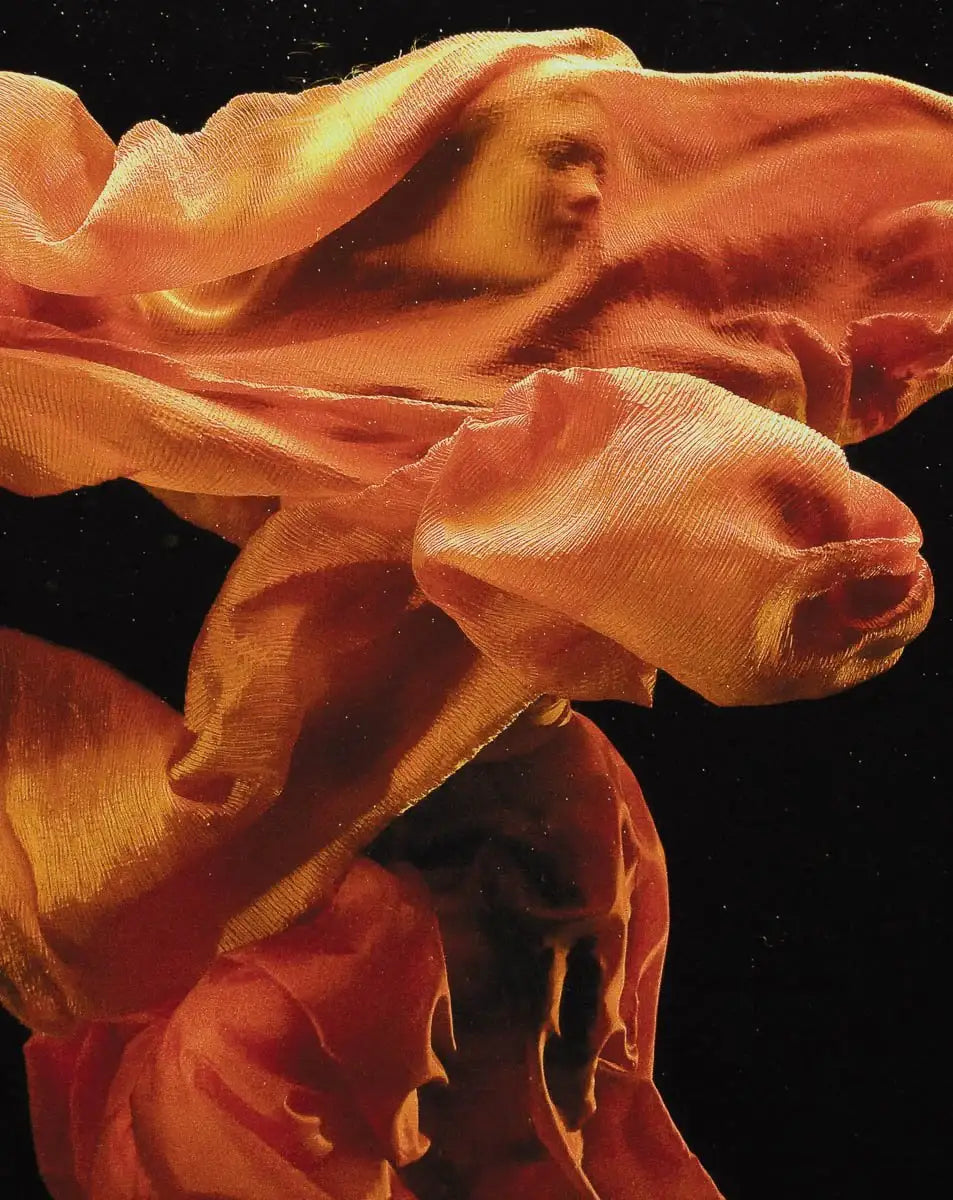 Fire l - Edition by artist Zena Holloway - Wyecliffe Galleries