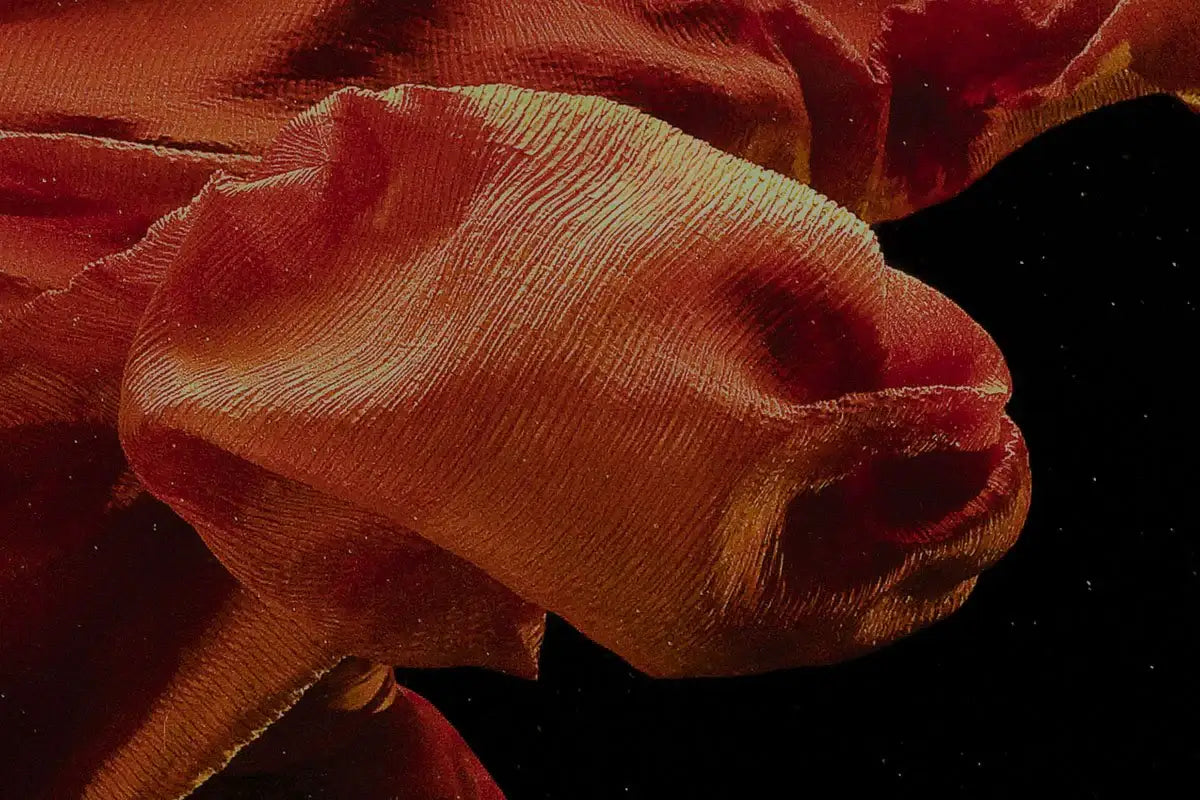 Fire l - Edition by artist Zena Holloway - Wyecliffe Galleries