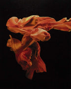 Fire l - Edition by artist Zena Holloway - Wyecliffe Galleries