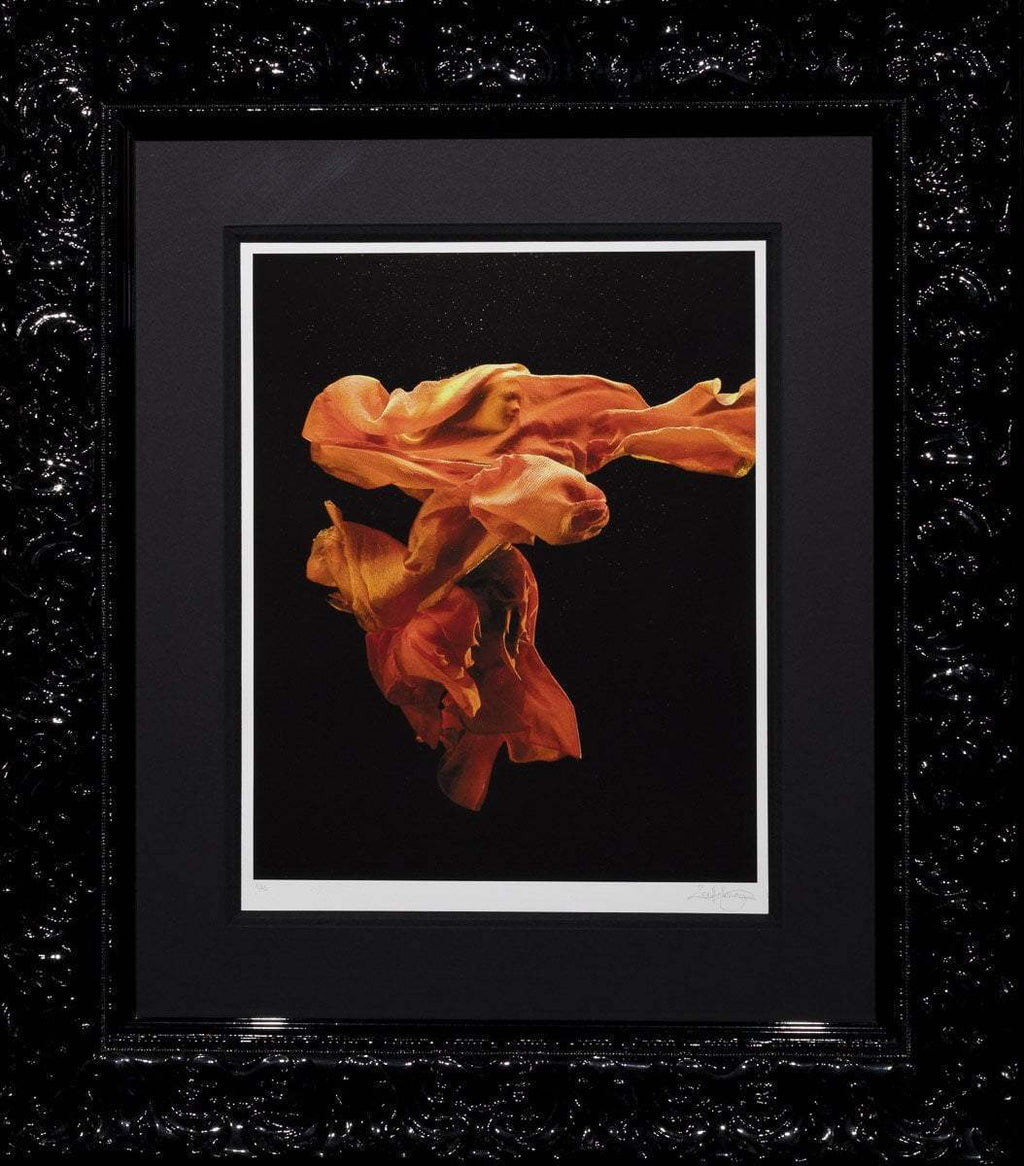 Fire l - Edition by artist Zena Holloway - Wyecliffe Galleries