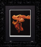 Fire l - Edition by artist Zena Holloway - Wyecliffe Galleries